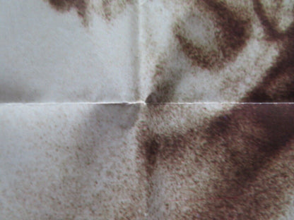 THE LONELY LADY US ONE SHEET POSTER PIA ZADORA LLOYD BOCHNER 1982 Movie posters