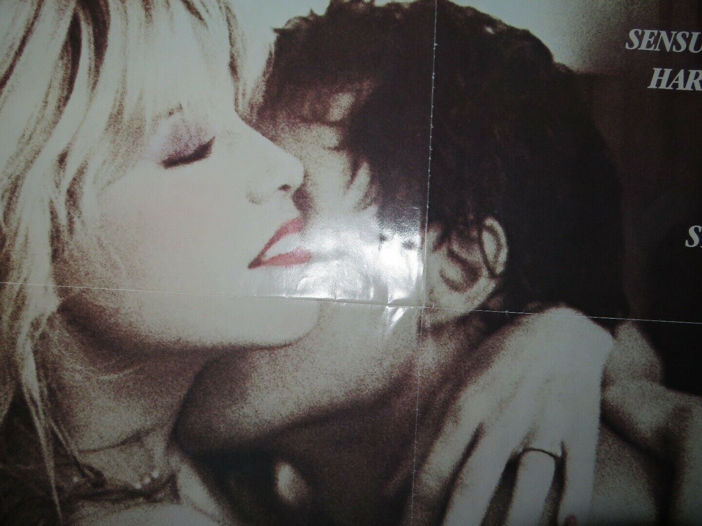 THE LONEY LADY US ONE SHEET POSTER BIBI BECHE HAROLD ROBBINS 1983 - Rendezvous Cinema