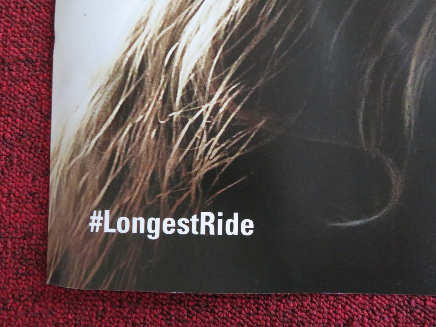 THE LONGEST RIDE UK QUAD (30"x 40") ROLLED POSTER BRITT ROBERTSON 2015 Rendezvous Cinema Movie posters