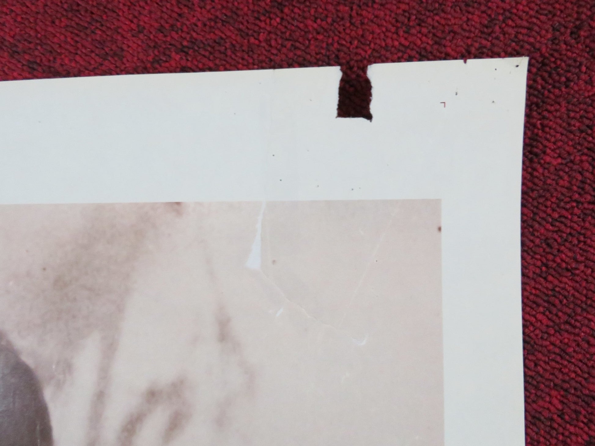 THE LONGEST YARD FOLDED US ONE SHEET POSTER BURT REYNOLDS EDDIE ALBERT 1974 Rendezvous Cinema Movie posters