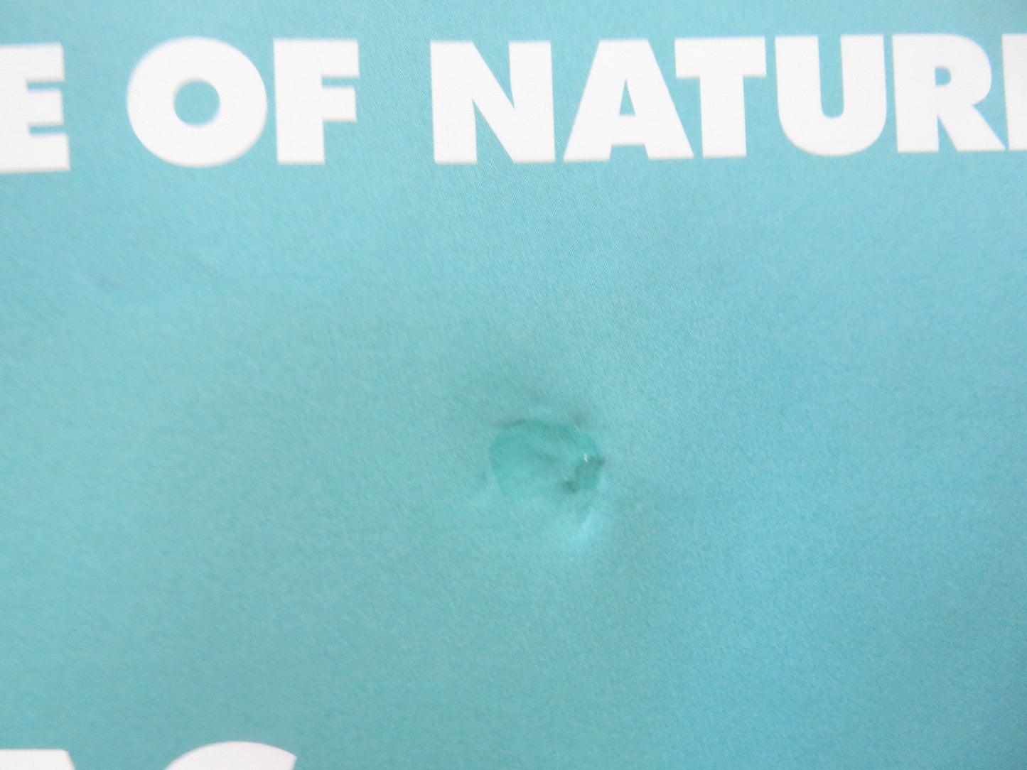 THE LORAX UK QUAD ROLLED POSTER DANNY DEVITO ED HELMS 2012 Rendezvous Cinema Movie posters