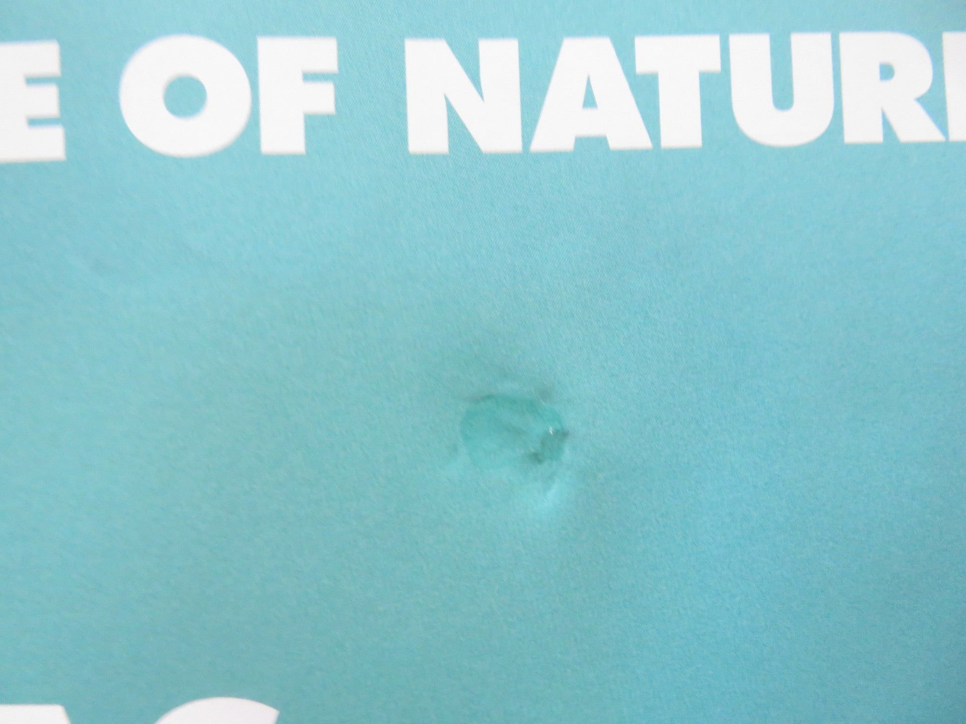 THE LORAX UK QUAD ROLLED POSTER DANNY DEVITO ED HELMS 2012 Rendezvous Cinema Movie posters