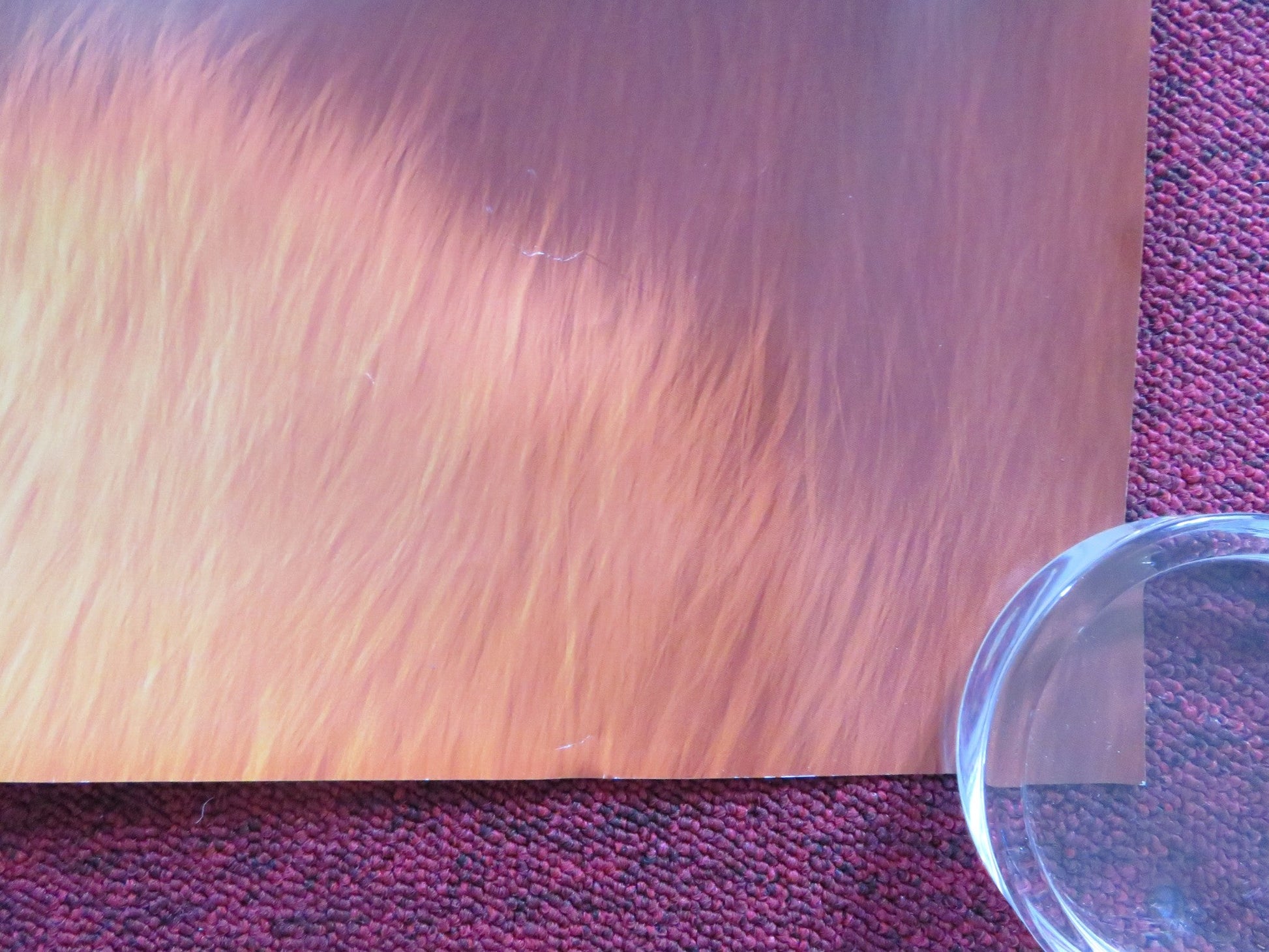 THE LORAX UK QUAD ROLLED POSTER DANNY DEVITO ED HELMS 2012 Rendezvous Cinema Movie posters