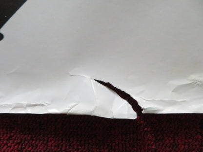 THE LOST SON UK QUAD ROLLED POSTER DANIEL AUTEUIL NASTASSJA KINSKI 1999 Rendezvous Cinema Movie posters