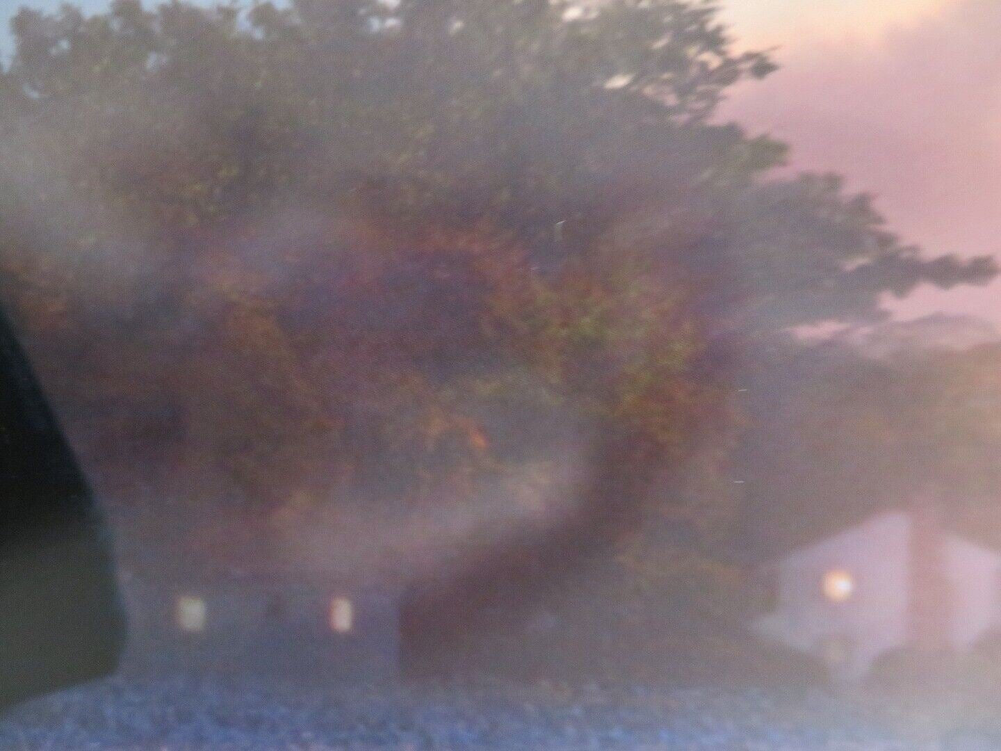 THE LOVELY BONES US ONE SHEET ROLLED POSTER MARK WAHLBERG RACHEL WEISZ 2009 Movie posters