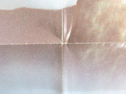 THE LOVER FOLDED US ONE SHEET POSTER CANNON MICHAL BAT - ADAM YEHORAM GAON 1985 Rendezvous Cinema Movie posters