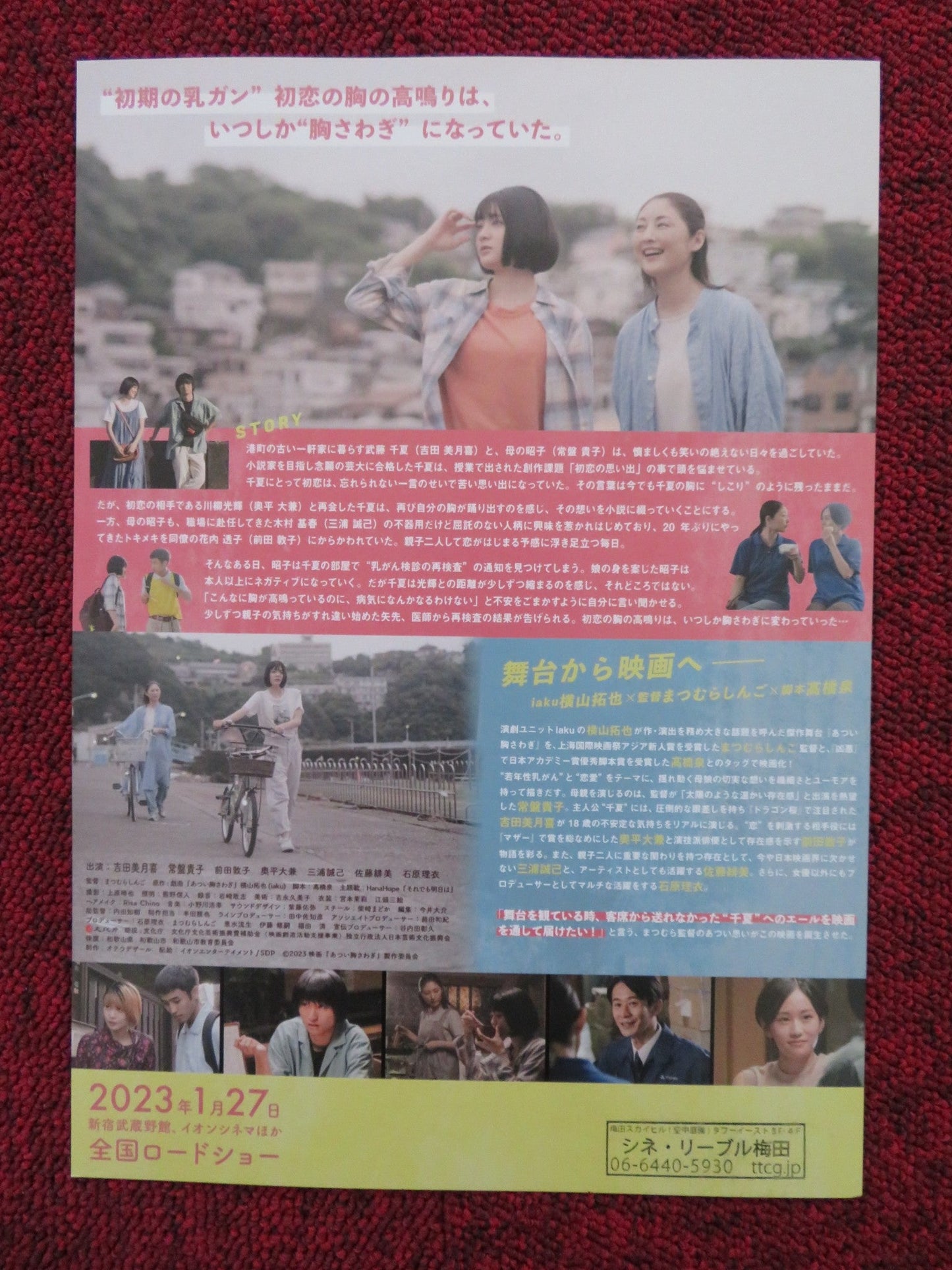 THE LUMP IN MY HEART JAPANESE CHIRASHI (B5) POSTER RII ISHIHARA MAEDA 2022 Rendezvous Cinema Movie posters