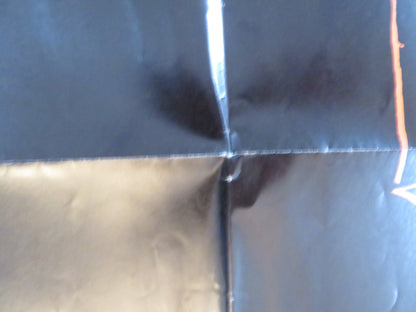 THE MAD ROOM FOLDED US ONE SHEET POSTER STELLA STEVENS SHELLEY WINTERS 1969 Rendezvous Cinema Movie posters