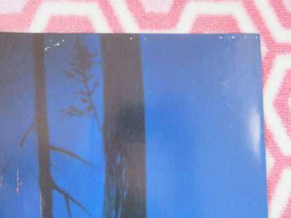 THE MAGIC RIDDLE BRITISH QUAD (30 x 40) POSTER YORAM G ROSS CINDERELLA 1991 Movie posters