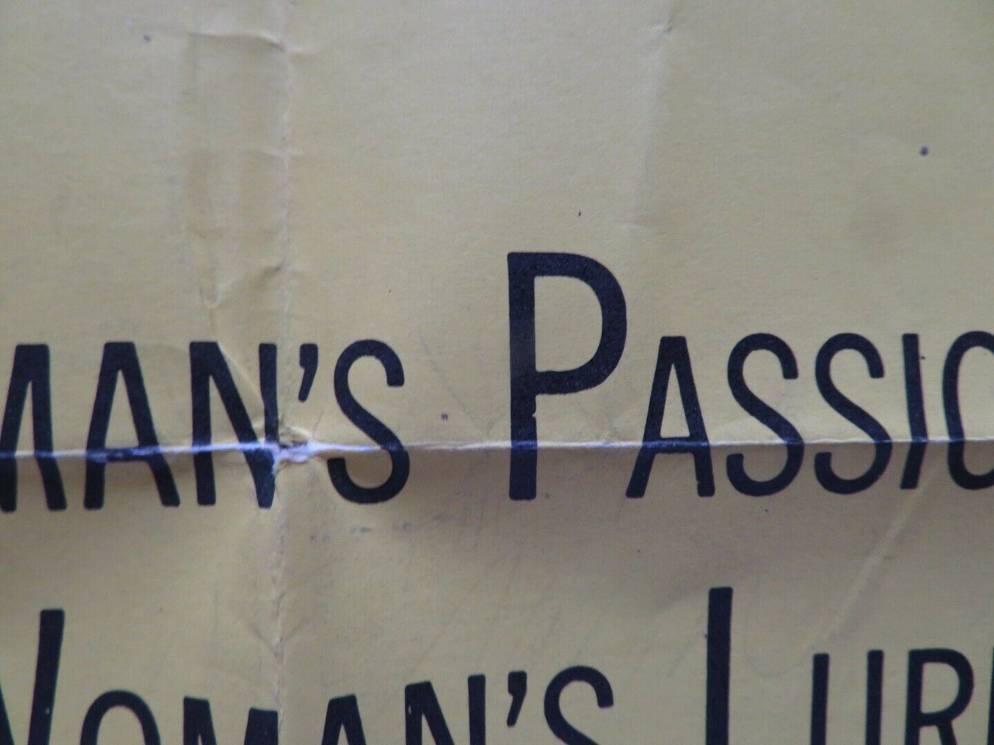 THE MAN IN THE NET FOLDED US ONE SHEET POSTER ALAN LADD CAROLYN JONES 1959 Movie posters