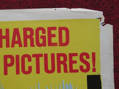 THE MAN IN THE NET FOLDED US ONE SHEET POSTER ALAN LADD CAROLYN JONES 1959 Movie posters