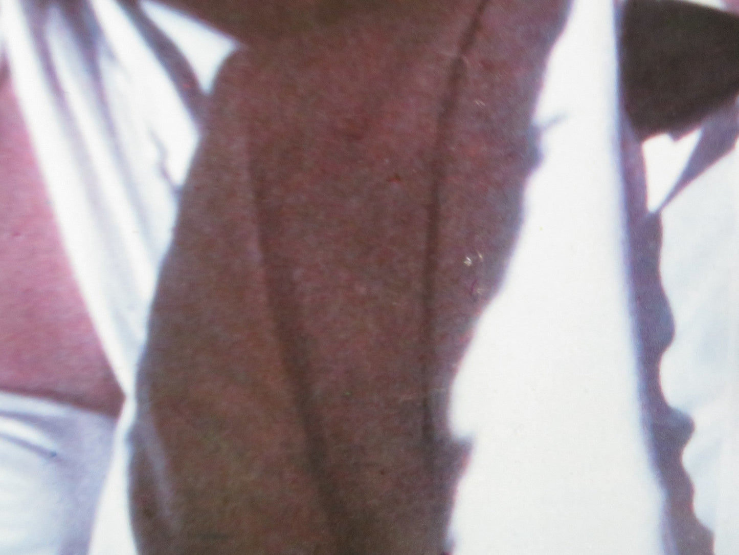 THE MAN WITH BOGART'S FACE - G ITALIAN FOTOBUSTA POSTER ROBERT SACCHI 1980 Rendezvous Cinema Movie posters