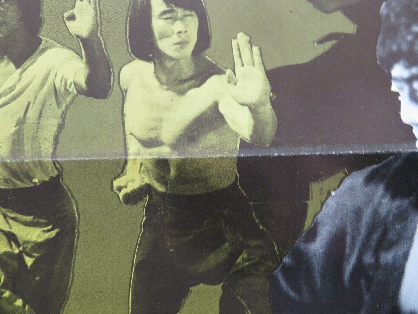 THE MASTER AVENGERS - KUNG FU US ONE SHEET ROLLED POSTER YUAN LUNG 1980 Movie posters