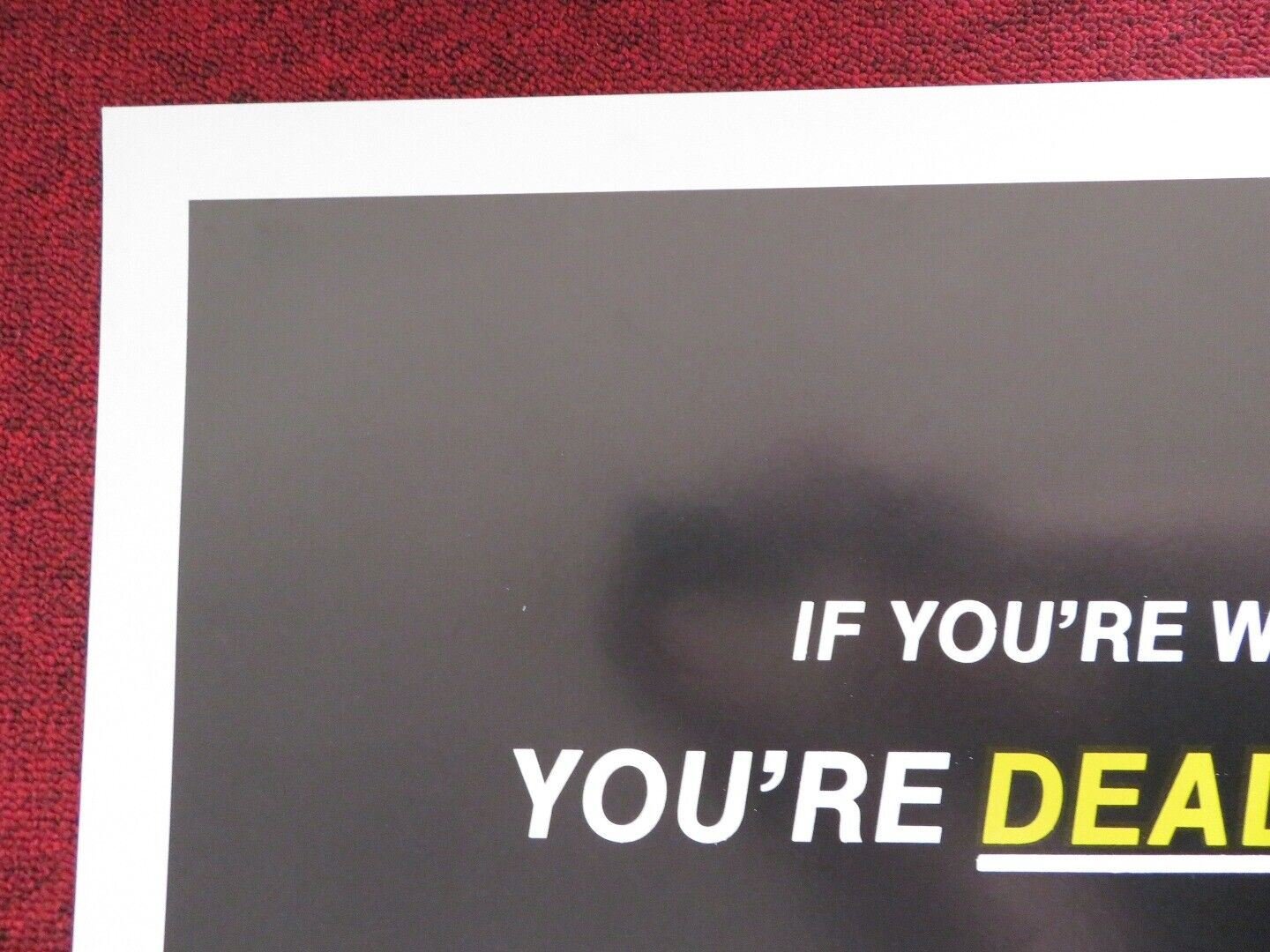 THE MASTER AVENGERS - KUNG FU US ONE SHEET ROLLED POSTER YUAN LUNG 1980 Movie posters