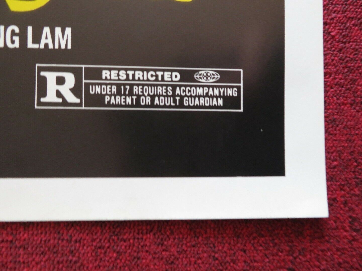 THE MASTER AVENGERS - KUNG FU US ONE SHEET ROLLED POSTER YUAN LUNG 1980 Movie posters