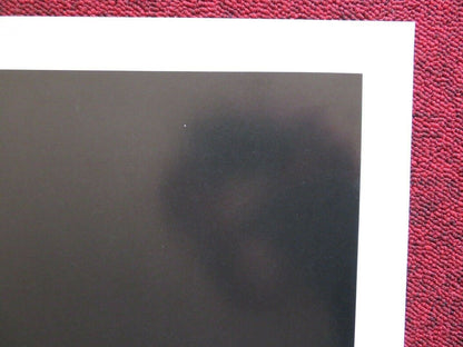 THE MASTER AVENGERS - KUNG FU US ONE SHEET ROLLED POSTER YUAN LUNG 1980 Movie posters