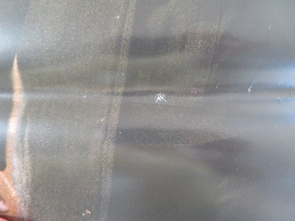 THE MECHANIC ITALIAN LOCANDINA POSTER JASON STATHAM BEN FORSTER 2011 Rendezvous Cinema Movie posters