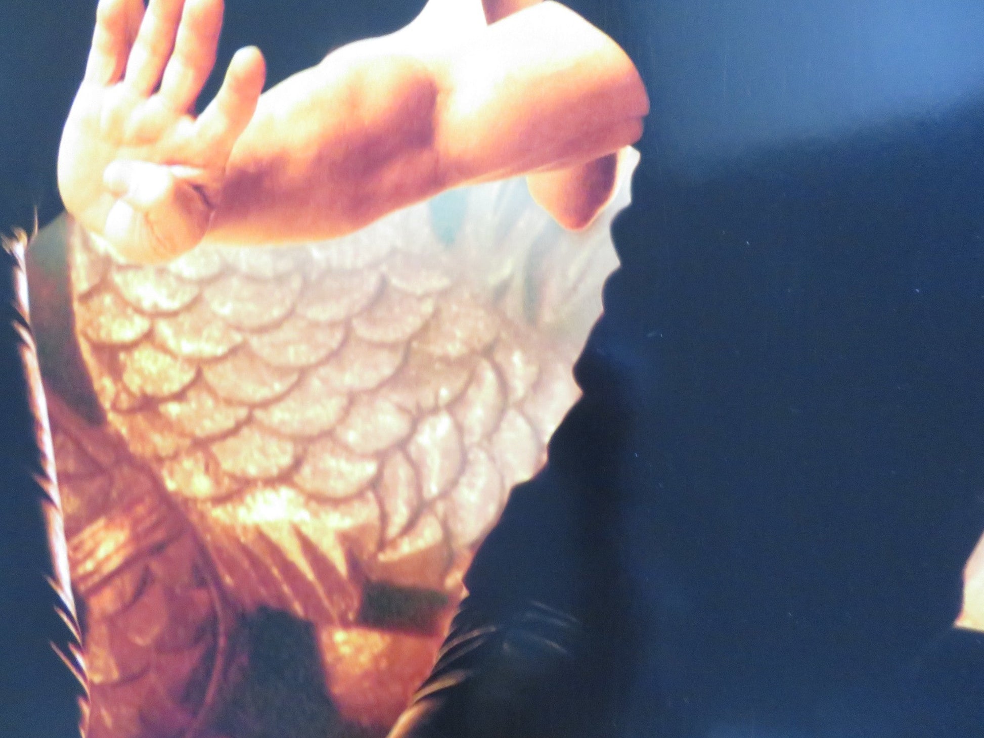 THE MEDALLION US ONE SHEET ROLLED POSTER JACKIE CHAN LEE EVANS 2003 Rendezvous Cinema Movie posters