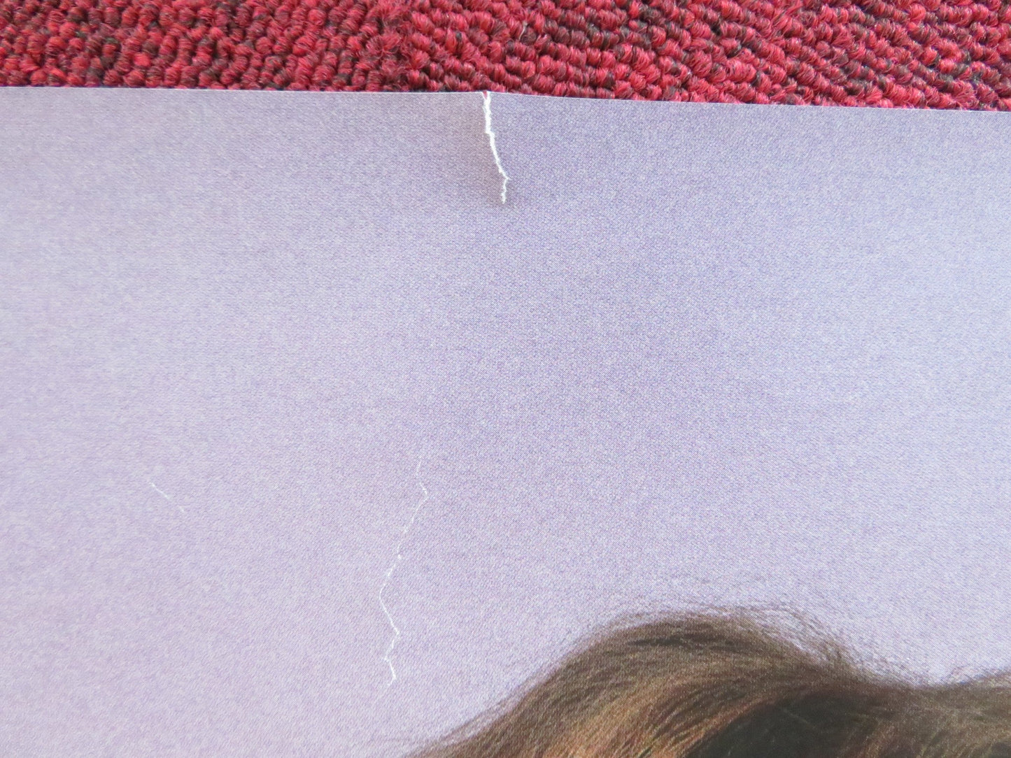 THE MEDDLER UK QUAD (30"x 40") ROLLED POSTER SUSAN SARANDON ROSE BYRNE 2015 Rendezvous Cinema Movie posters