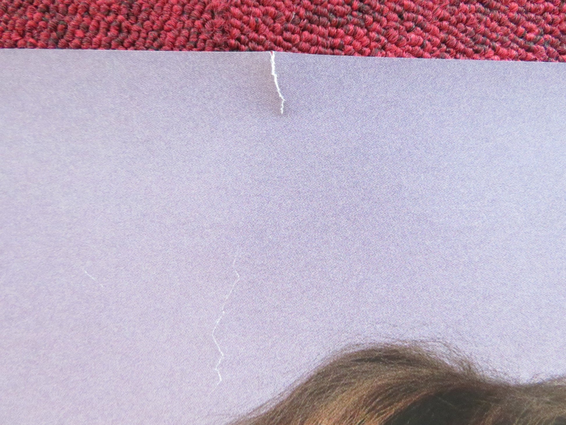 THE MEDDLER UK QUAD (30"x 40") ROLLED POSTER SUSAN SARANDON ROSE BYRNE 2015 Rendezvous Cinema Movie posters