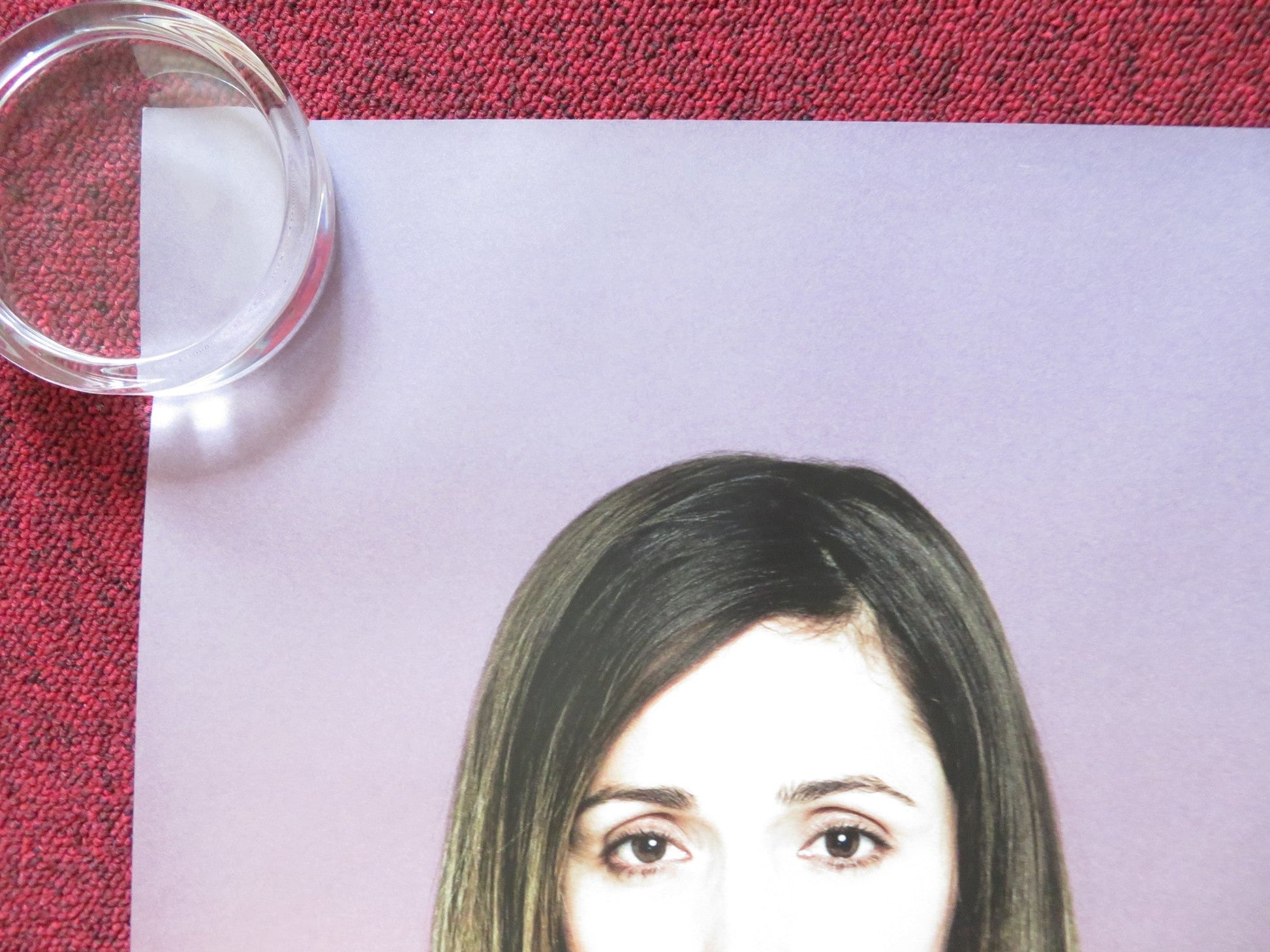 THE MEDDLER UK QUAD (30"x 40") ROLLED POSTER SUSAN SARANDON ROSE BYRNE 2015 Rendezvous Cinema Movie posters