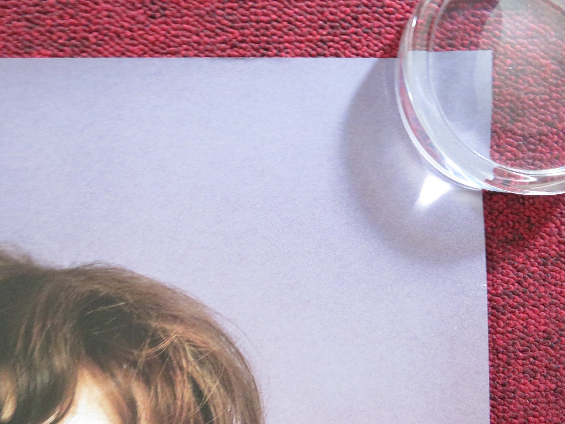 THE MEDDLER UK QUAD (30"x 40") ROLLED POSTER SUSAN SARANDON ROSE BYRNE 2015 Rendezvous Cinema Movie posters