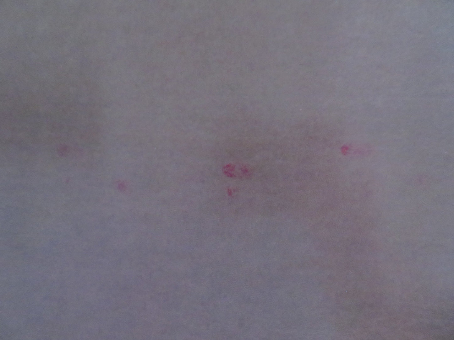 THE MIKADO ENGLISH NATIONAL OPERA UK QUAD (30"x 40") ROLLED POSTER 2015 Rendezvous Cinema Movie posters