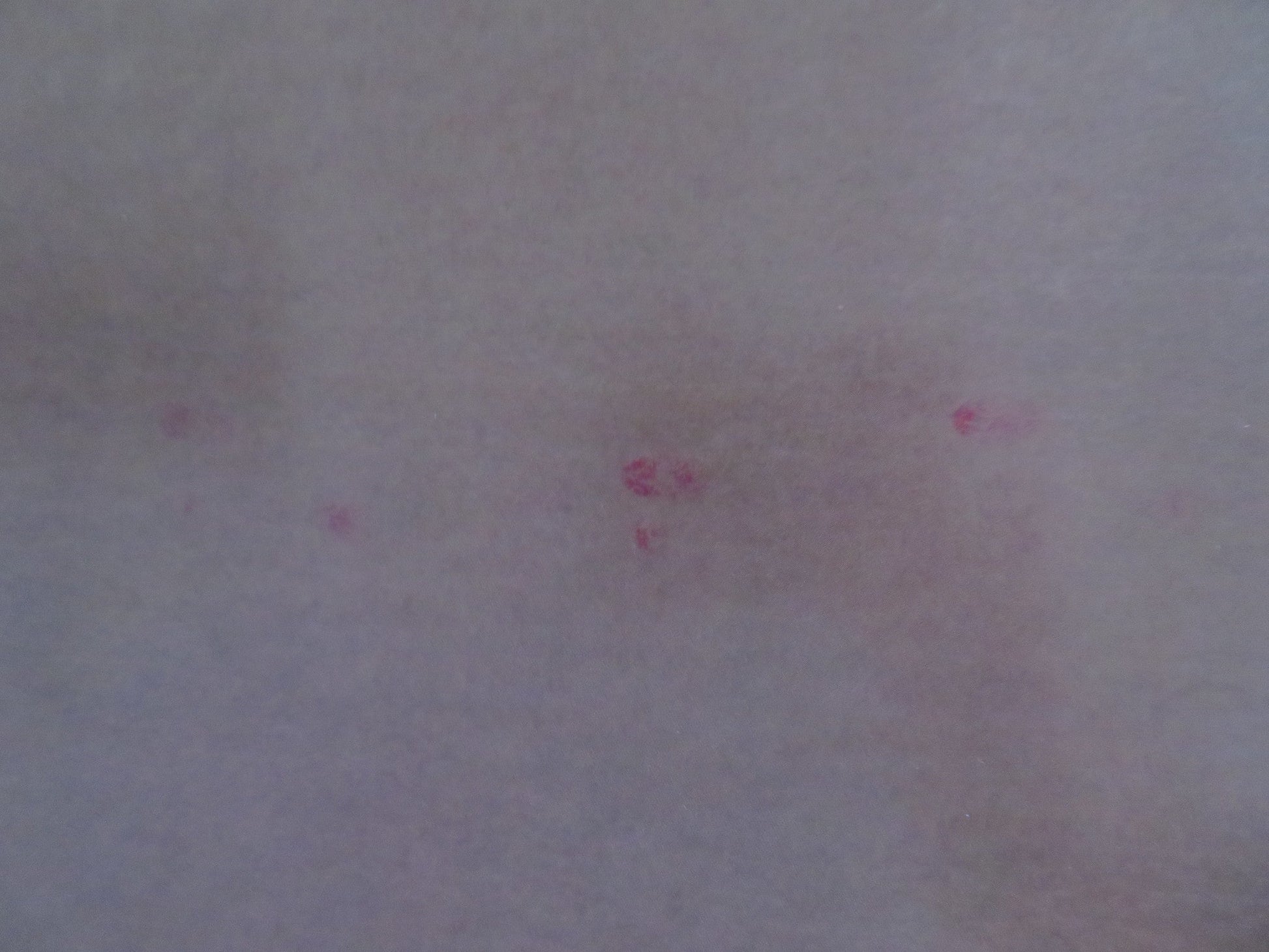 THE MIKADO ENGLISH NATIONAL OPERA UK QUAD (30"x 40") ROLLED POSTER 2015 Rendezvous Cinema Movie posters