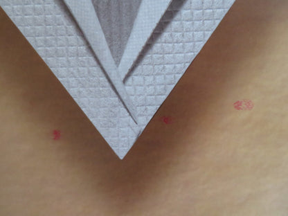 THE MIKADO ENGLISH NATIONAL OPERA UK QUAD (30"x 40") ROLLED POSTER 2015 Rendezvous Cinema Movie posters