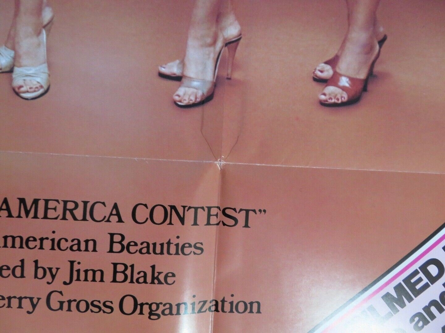 THE MISS NUDE AMERICA CONTEST FOLDED US ONE SHEET POSTER JIM BLAKE 1976 Movie posters