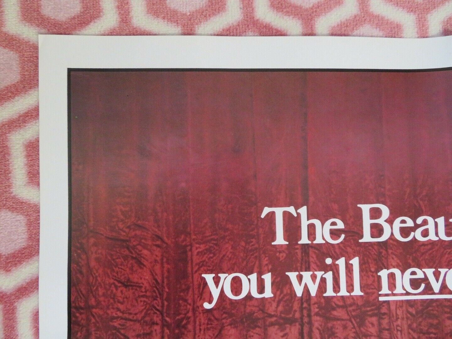 THE MISS NUDE AMERICA CONTEST FOLDED US ONE SHEET POSTER JIM BLAKE 1976 Movie posters