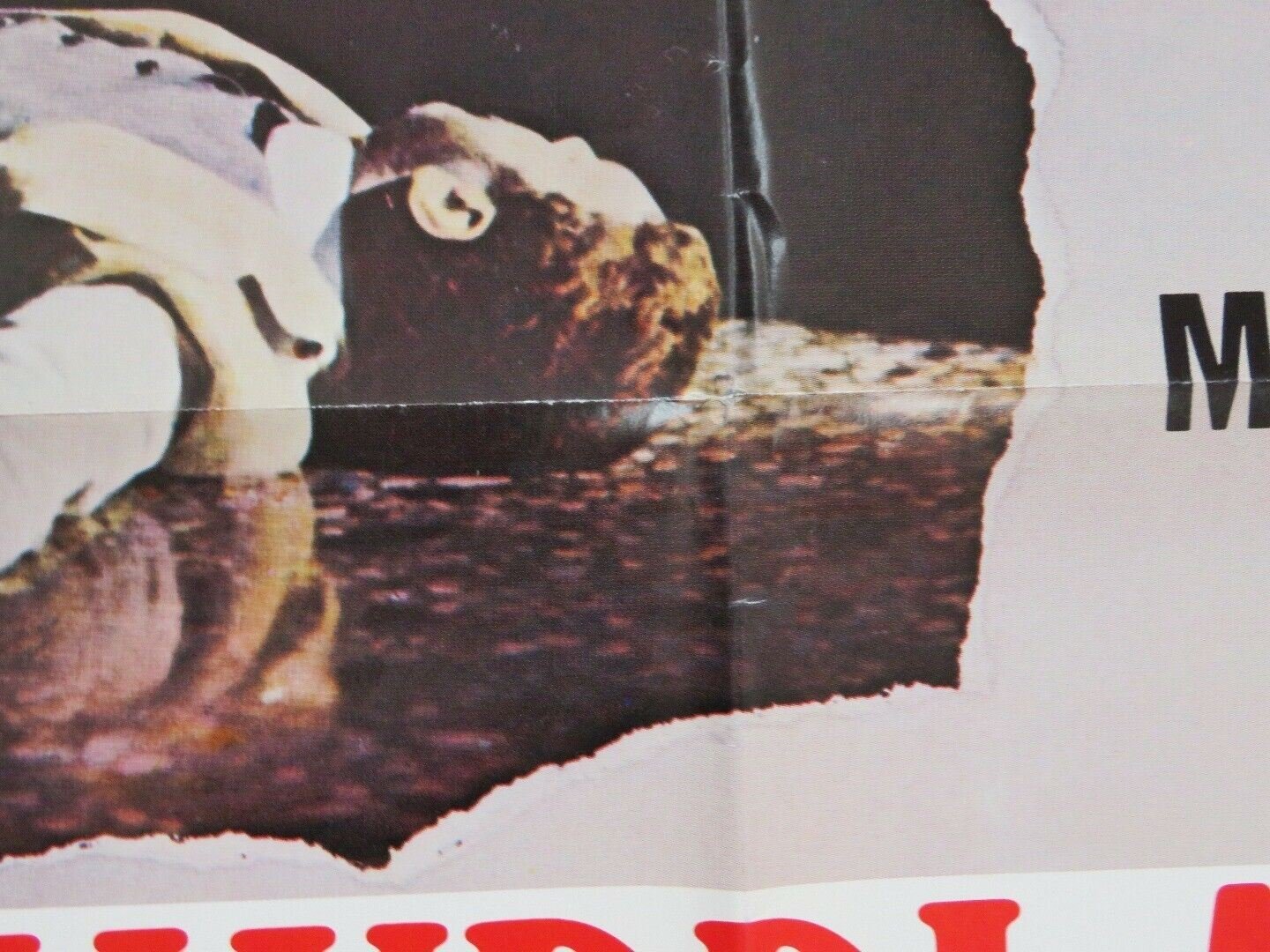 THE MURRI AFFAIR US ONE SHEET POSTER CATHERINE DENEUVE GIANCARLO GIANNINI 1974 Movie posters