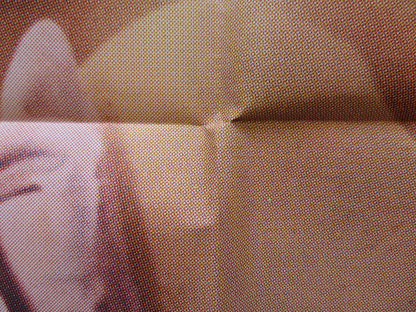 THE NAKED AND THE BRAVE FOLDED US ONE SHEET POSTER ELKE SOMMER H. BUCHOLZ 1965 Rendezvous Cinema Movie posters