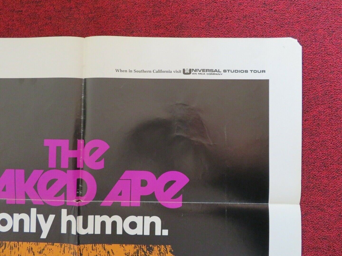 THE NAKED APE FOLDED US ONE SHEET POSTER JOHNNY CRAWFORD 1973 Movie posters