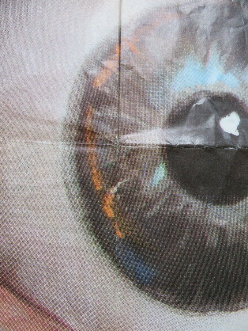 THE NAME OF THE GAME IS KILL ITALIAN 2 FOGLIO (55"x 39") POSTER JACK LORD 1972 Movie posters