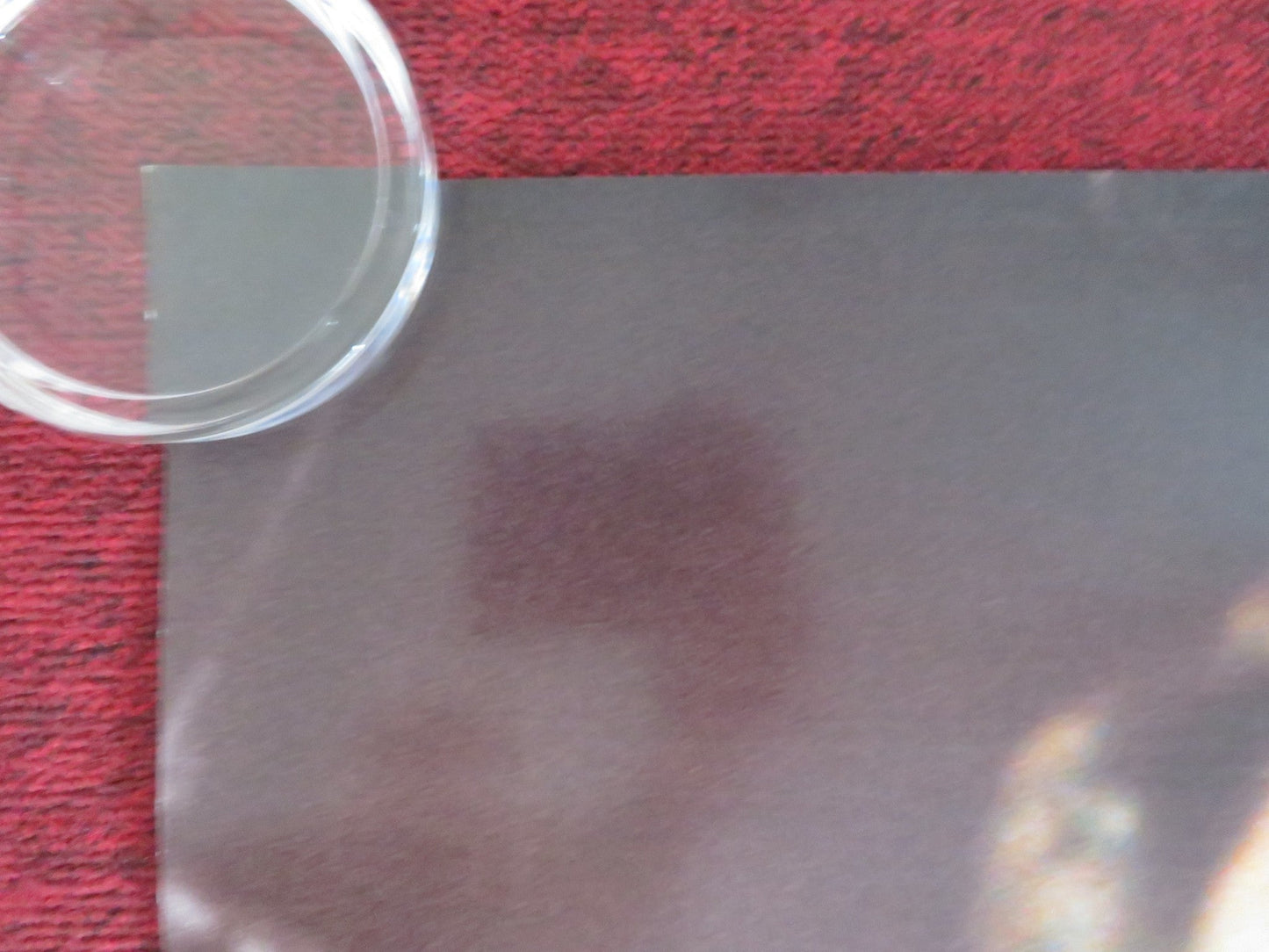 THE NEST US ONE SHEET ROLLED POSTER JUDE LAW CARRIE COON 2020 Rendezvous Cinema Movie posters