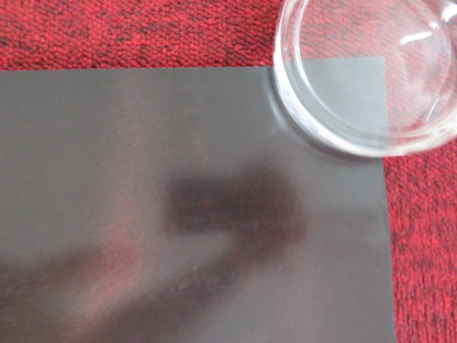 THE NEST US ONE SHEET ROLLED POSTER JUDE LAW CARRIE COON 2020 Rendezvous Cinema Movie posters