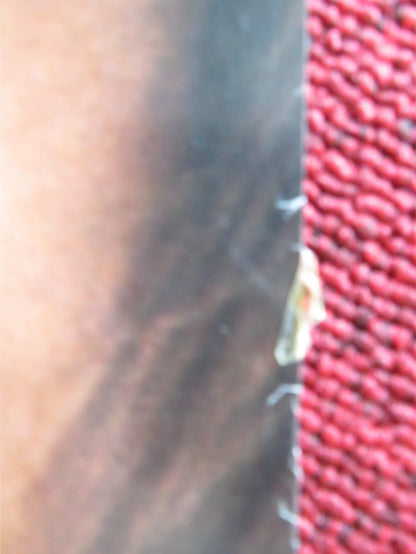 THE NET US ONE SHEET ROLLED POSTER SANDRA BULLOCK JEREMY NORTHAM 1995 Rendezvous Cinema Movie posters