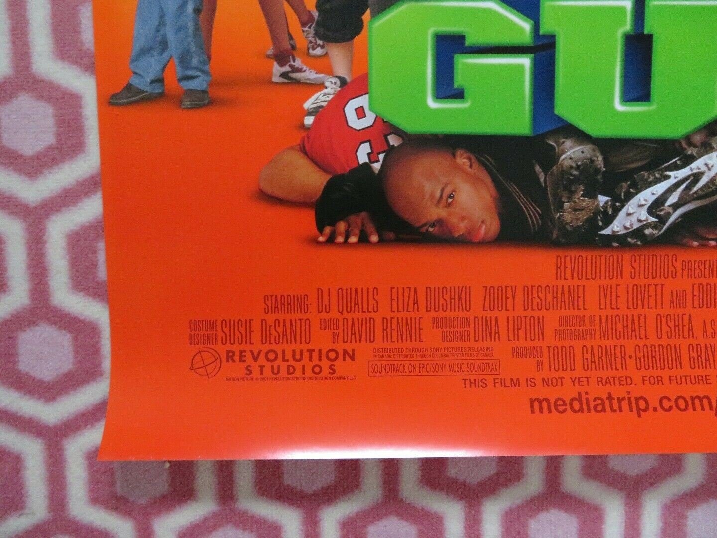 THE NEW GUY US ONE SHEET ROLLED POSTER DJ QUALLS ELIZA DUSHKU 2002 Movie posters