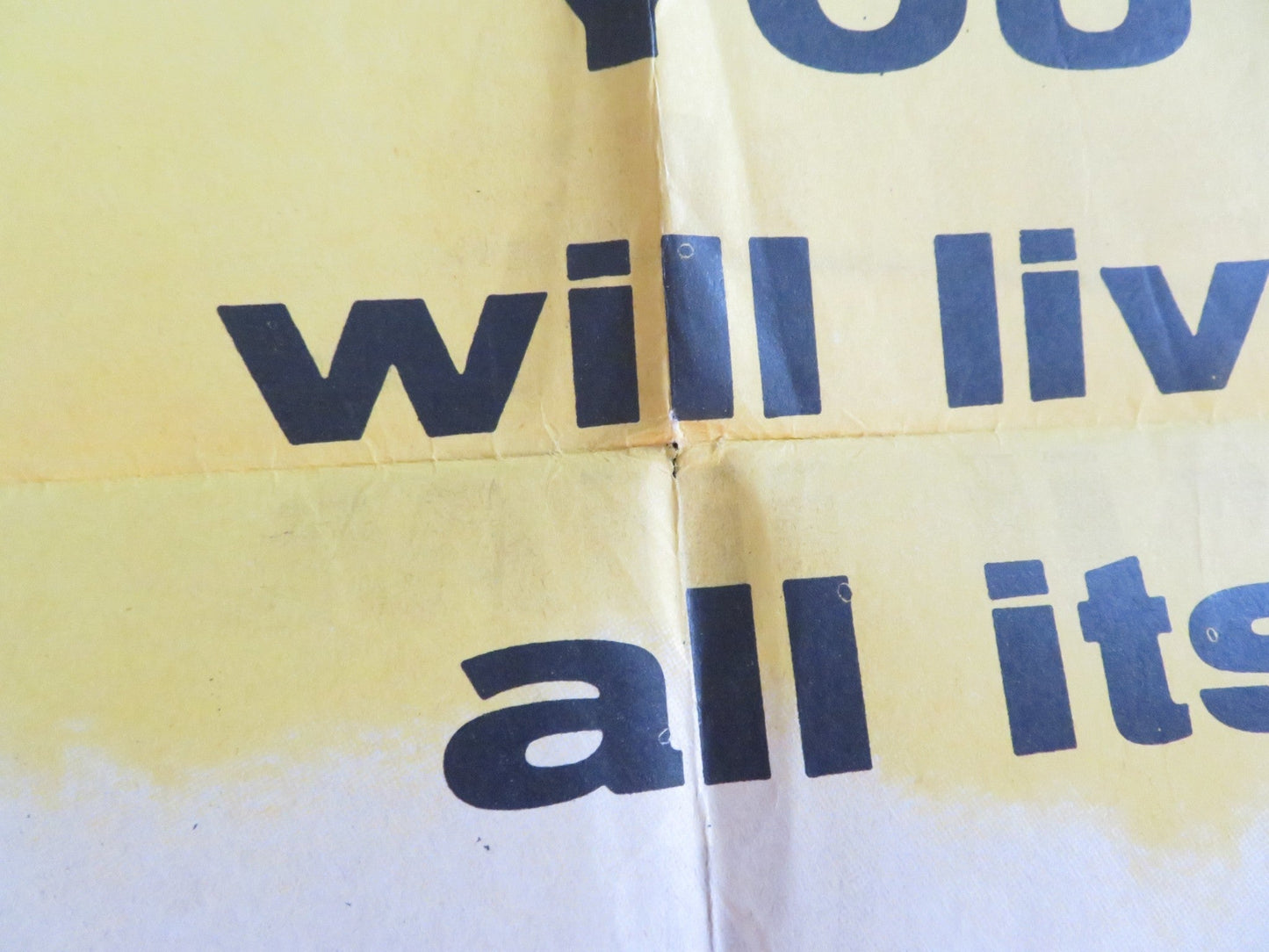 THE NIGHT HOLDS TERROR FOLDED US ONE SHEET POSTER JACK KELLY HILDY PARKS 1955 Rendezvous Cinema Movie posters