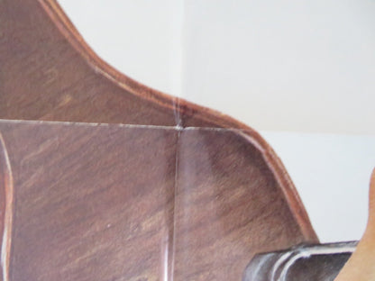 THE NIGHT THE LIGHTS WENT OUT IN GEORGIA FOLDED US ONE SHEET POSTER 1981 Rendezvous Cinema Movie posters