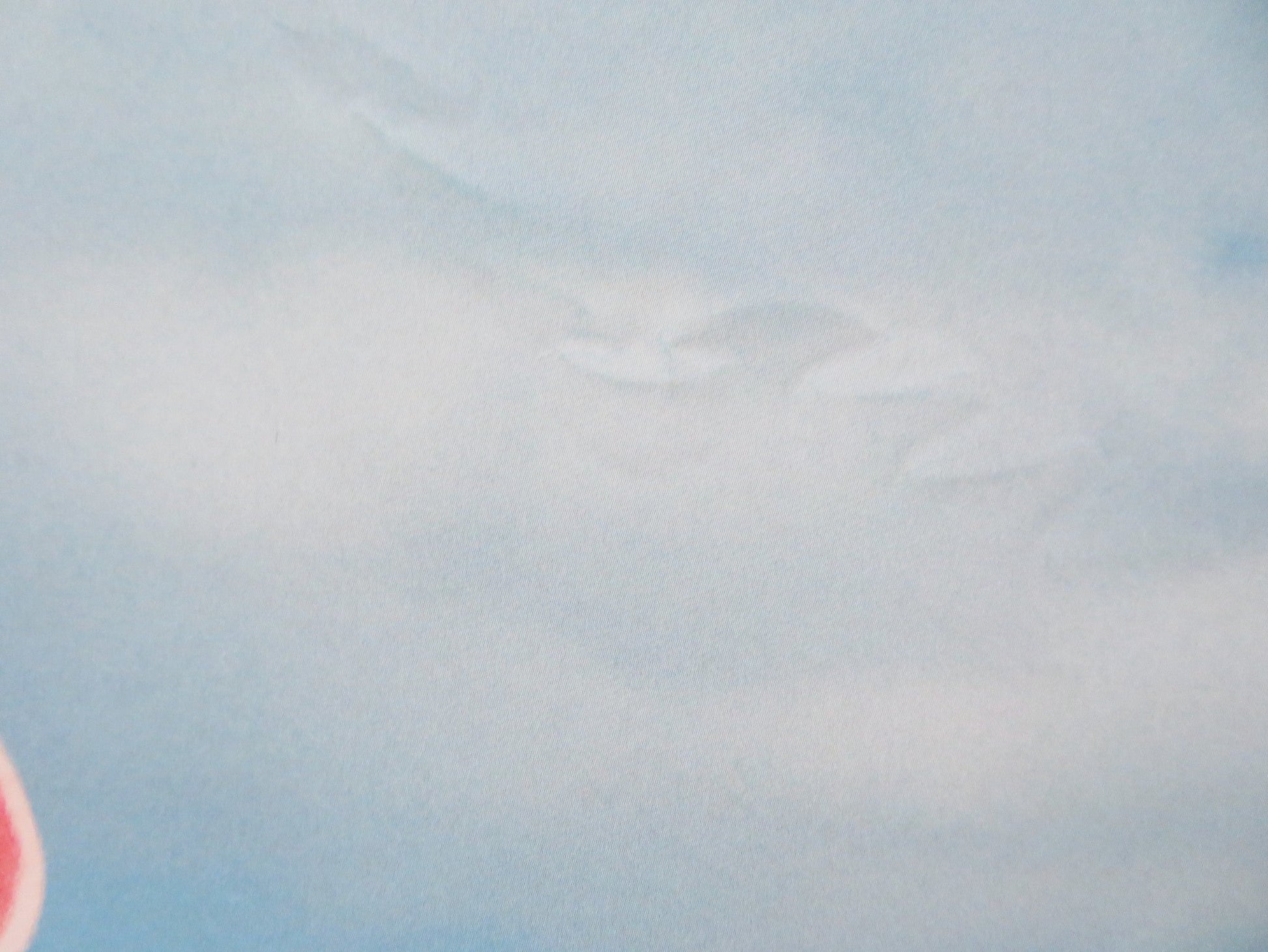 THE NUT JOB 2: NUTTY BY NATURE UK QUAD (30"x 40") ROLLED POSTER WILL ARNETT 2017 Rendezvous Cinema Movie posters