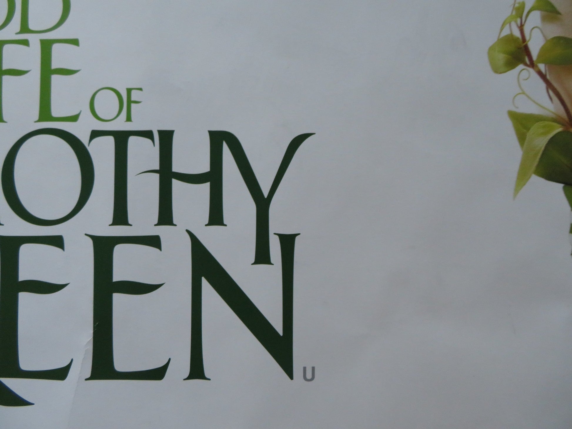 THE ODD LIFE OF TIMOTHY GREEN UK QUAD (30"x 40") ROLLED POSTER DISNEY 2012 Rendezvous Cinema Movie posters