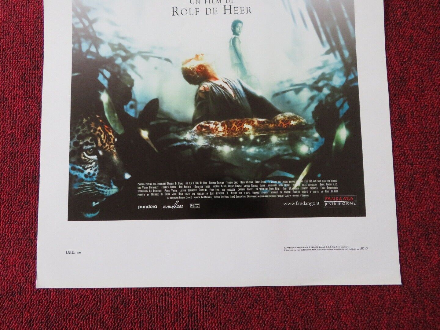 THE OLD MAN WHO READ LOVE STORIES ITALIAN LOCANDINA (27.5"x13") POSTER 2001 Movie posters