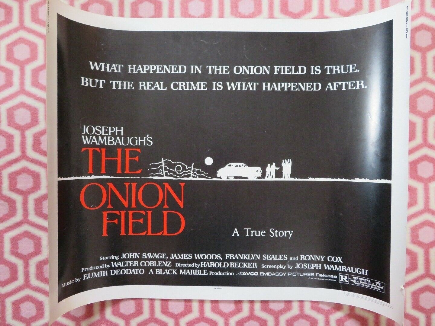 THE ONION FIELD US HALF SHEET (22"x 28") POSTER JOHN SAVAGE JAMES WOODS 1979 Movie posters