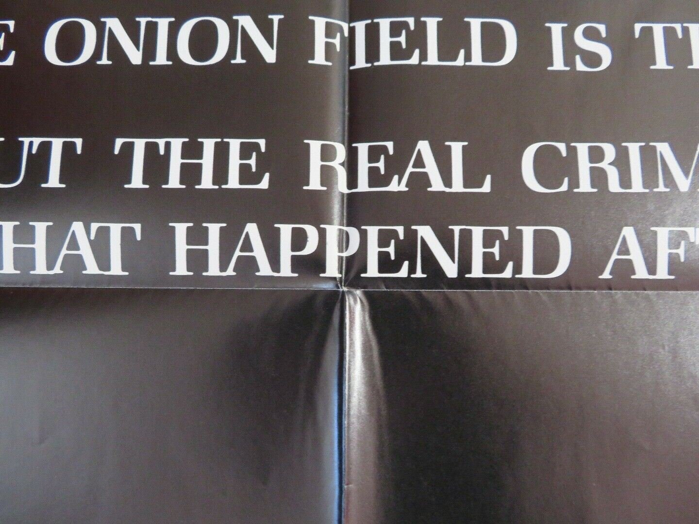 THE ONION FIELD US ONE SHEET (27" x 41") POSTER JAMES WOOD JOHN SAVAGE 1979 Movie posters