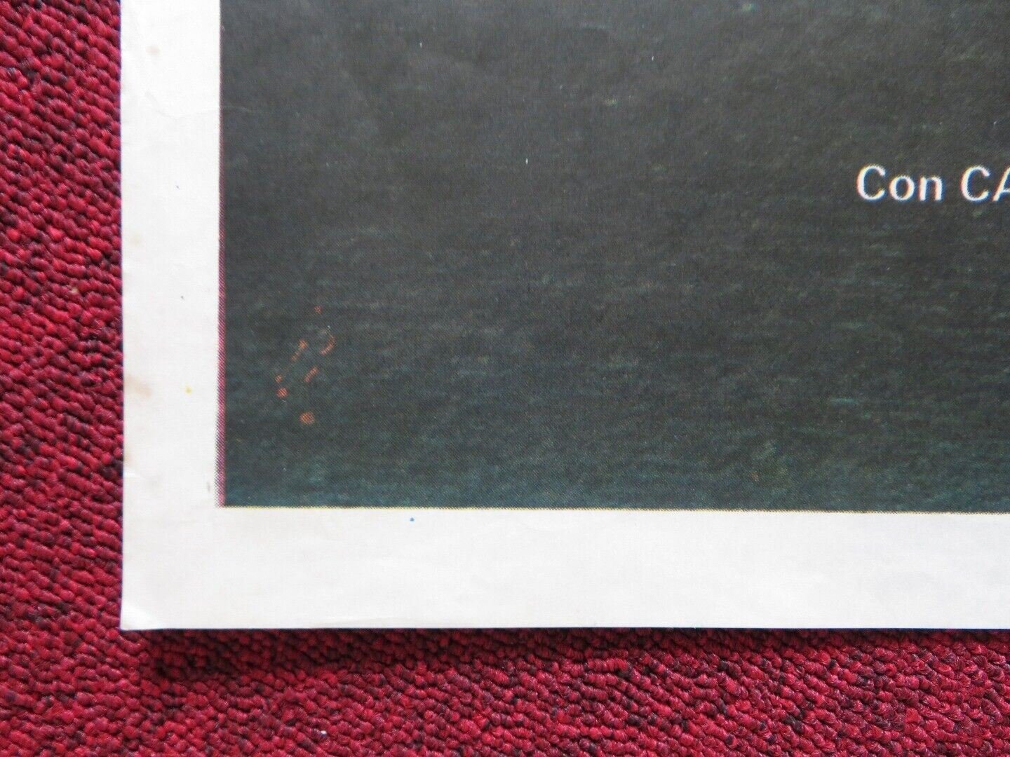 THE ORACLE FOLDED ARGENTINA POSTER CAROLINE CAPERS POWERS ROGER NEIL 1985 - Rendezvous Cinema