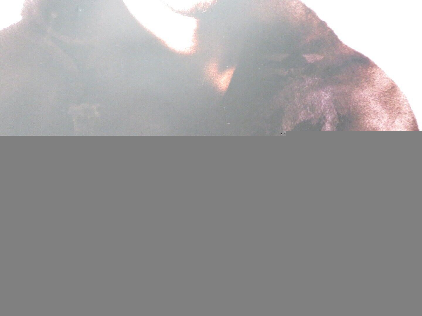 THE ORDER US ONE SHEET ROLLED POSTER HEATH LEDGER 2003 Movie posters