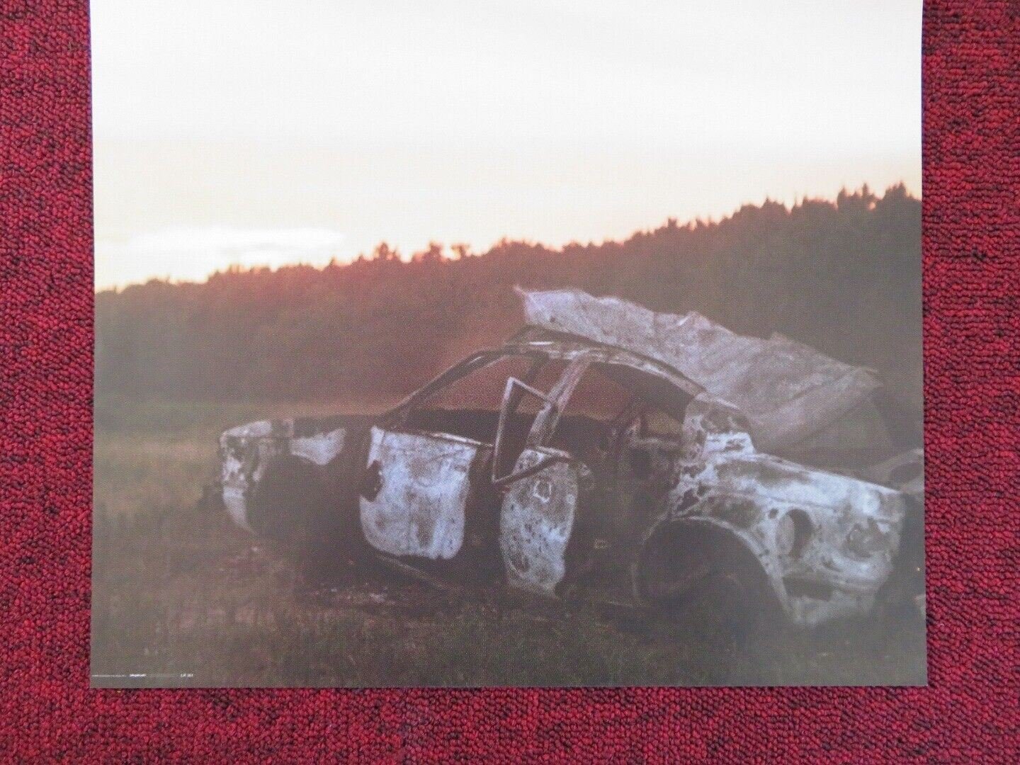 THE OTHER SIDE ITALIAN LOCANDINA (26.5"x12.5") POSTER R MINERVINI C COLEM 2015 Rendezvous Cinema Movie posters