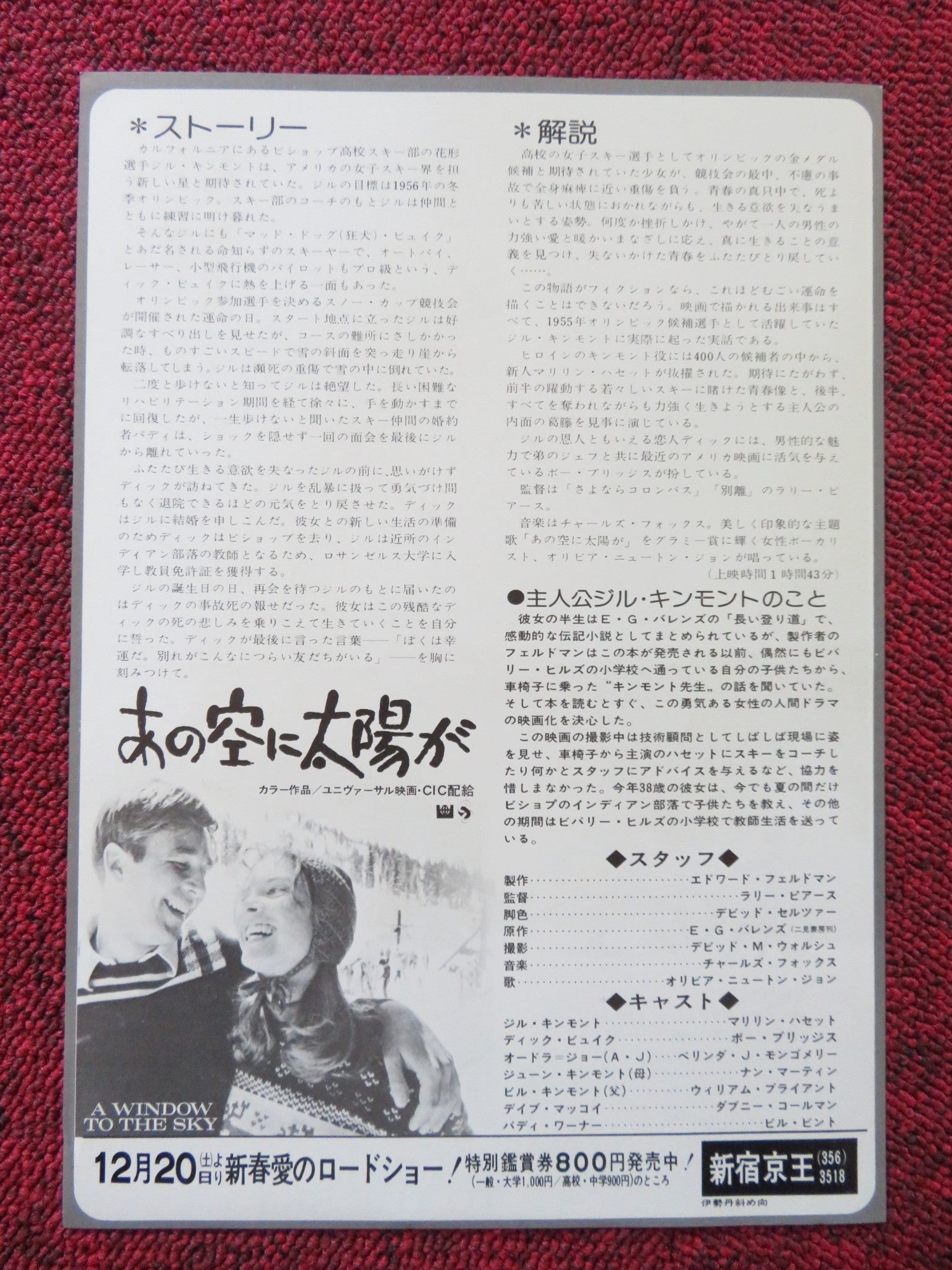 THE OTHER SIDE OF THE MOUNTAIN JAPANESE CHIRASHI (B5) POSTER HASSETT 1975 Rendezvous Cinema Movie posters